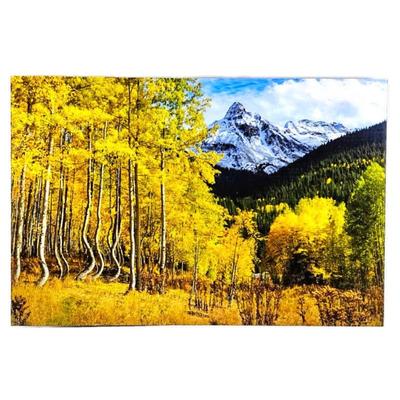 Lot #22 - "Ophir" Mountain, CO. Acrylic Framed Art Photography 24" x 36"- Signed by artist 24" x 36"