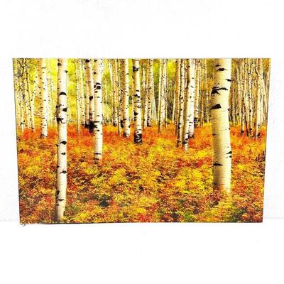 Lot #26 - "Aspens of Utah" Acrylic Mounted Print- 24"x 36" by the artist Randy Koepsell