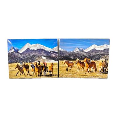 Lot #64 - Lot of Two 16 x 20 Enlarged Wildlife Photos in Protective Sleeves - Horses under the Grand Tetons Wyoming
