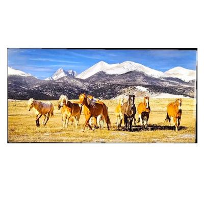 
Lot #33 - "Teton Horses in Paradise 2" Wyoming- Acrylic Mounted Print 24 x 48