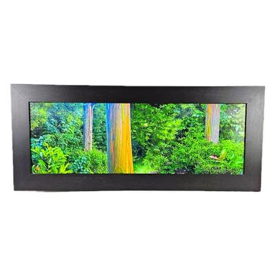 Lot #30 -"Sunbeam in the Rainbows: Maui" Colorful Eucalyptus Tree Photo Art Framed 18.5 x 43.5"
