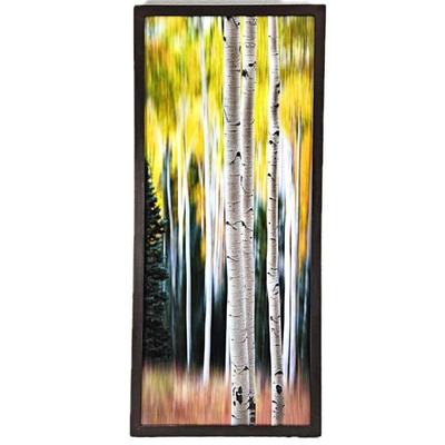 Lot #1 - Randy Koepsell "Standing Out on Fire" Framed Fine Art Landscape Photography- Aspens 22” x 49.5”