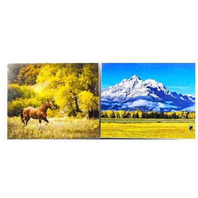 Lot #65 - Lot of Two 16 x 20 Enlarged Wildlife Photos in Protective Sleeves - Horses under the Grand Tetons Wyoming