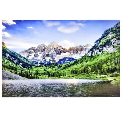 Lot #6 - Randy Koepsell Fine Abstract Art Photography -Modern High-End Acrylic Mounted Print- Aspen Abstraction- 48" x 20"