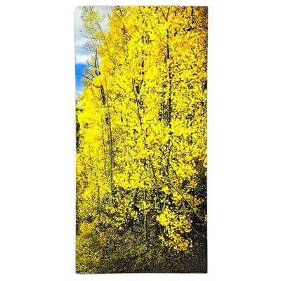 Lot #21 - Aspens in the Fall- Vertical Art Photography in Acrylic Mounted Photo -24" x 48"