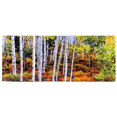 Lot #27 - "Aspen Wood - Summer to Fall: Colorado" 16" x 40" Modern Acrylic Face Mounted Print