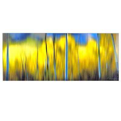 Lot #6 - Randy Koepsell Fine Abstract Art Photography -Modern High-End Acrylic Mounted Print- Aspen Abstraction- 48" x 20"