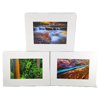 Lot #56 - Lot of Three Matted 11 x 17 Photographs in White 18 x 24" Matting - Zion Utah, & Maui