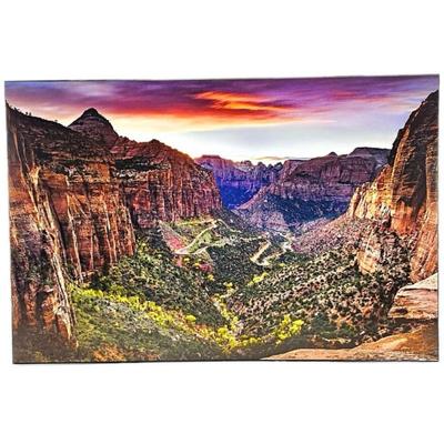 Lot #19 - "Car Trails: Zion National Park Canyon Overlook Trail" 24 x 36 Photography on Gallery MDF Plaque