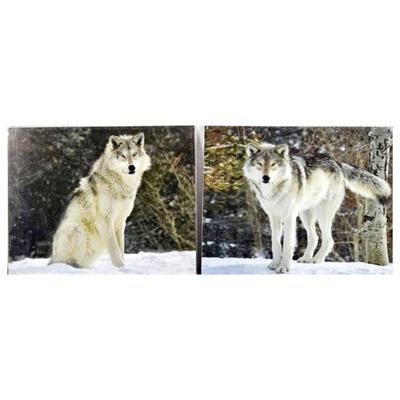 Lot #57 - Lot of 2 Stunning Wolf Photographs - 16 x 20 inches.
