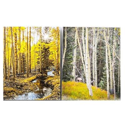 Lot #69 -Lot of Two 16 x 20 Enlarged Wildlife / Nature Photos in Protective Sleeves  "Creek Star" & "Aspens w/ Deer"