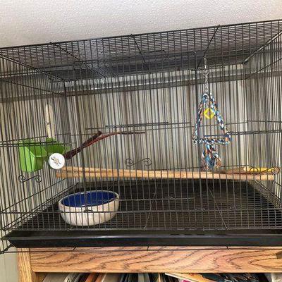#1016 • Bird Cage
