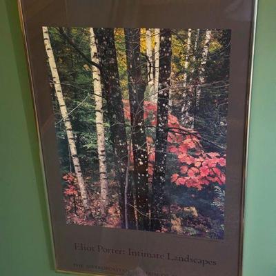 Eliot Porter : Colorful Trees Print
