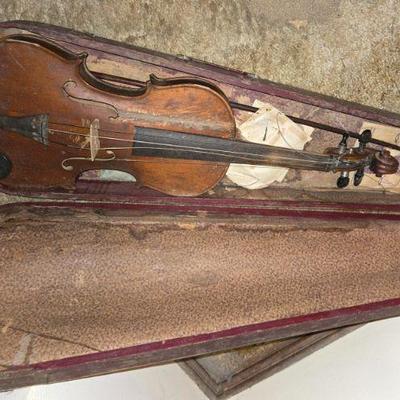 Violin
