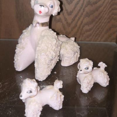 Poodle’s 