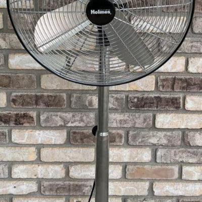 Holmes Stainless 43" 3 Speed Ocselating Fan