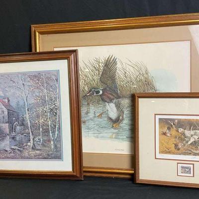 Framed nature wildlife art collection set of 3