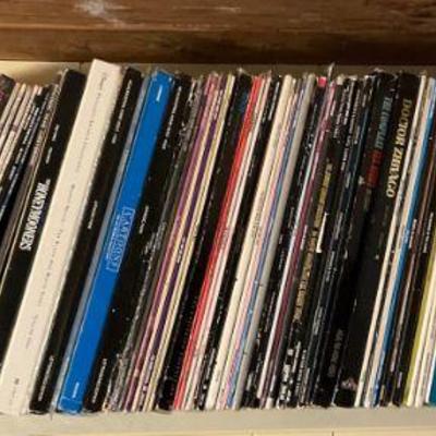 Large collection of vintage laserdiscs vinyl records