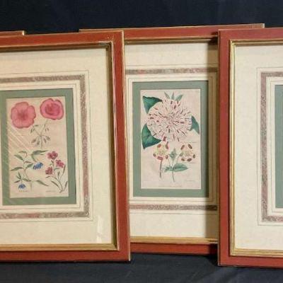 Framed vintage botanical prints set of 4