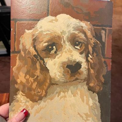 Paint by numbers 