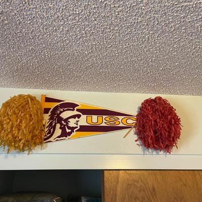 School flags 