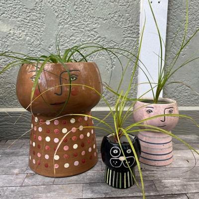 MMM196 Three Ponytail Plants In Ceramic Planters