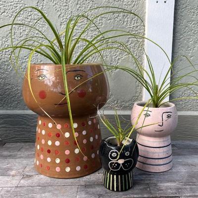 MMM197 Three Ponytail Plants In Ceramic Planters 