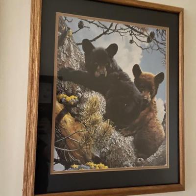 Art : bears 