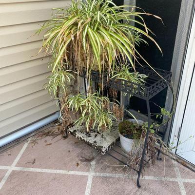 Plant Stand