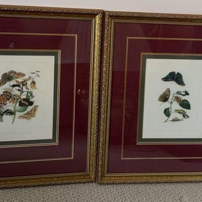 Butterfly Framed Art