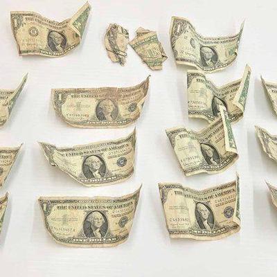 #1045 • (12) $1 Silver Certificate & (2) $1 Bills
