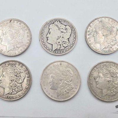#1552 • (6) Philadelphia 1900-1921 Morgan Silver Dollars
