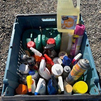 #83002 • Raid, Brake Cleaner, Peanut Oil, Hornet & Wasp Killer, Armor All
