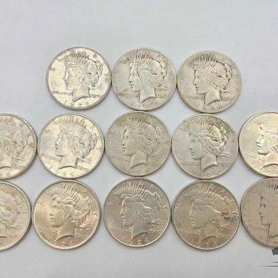 #1692 • (13) 1924 Morgan Silver Dollars
