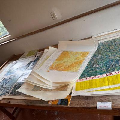 Topographic Maps – Mt. Rainier, Sitka, Prince George, Xinjiang, & More	