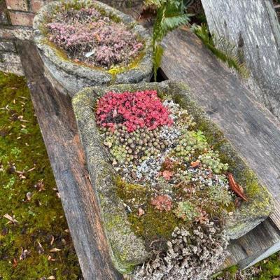 #2 Tufa Stone Planters – Set of 2 Weathered Rock Garden Troughs	
