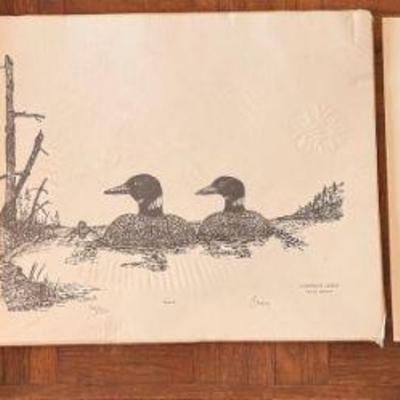 Duck, Duck, Book
