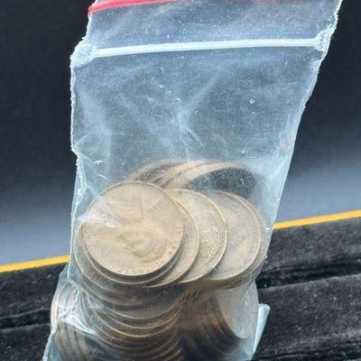 Mystery Pouch Of Pennies
