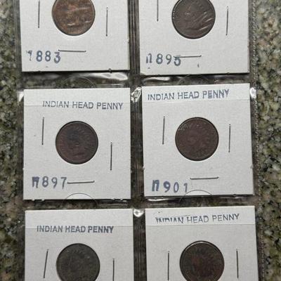 (6) Sleeved Indian Head Cents
Includes 
1883
1895
1897
1901
1906
1907
