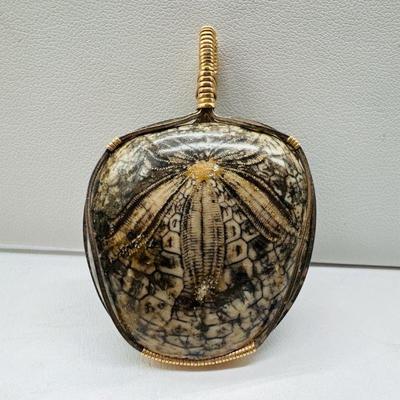 Dendraster Fossilized Sand Dollar Wire Wrapped Pendant
