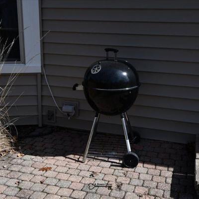 801 back yard