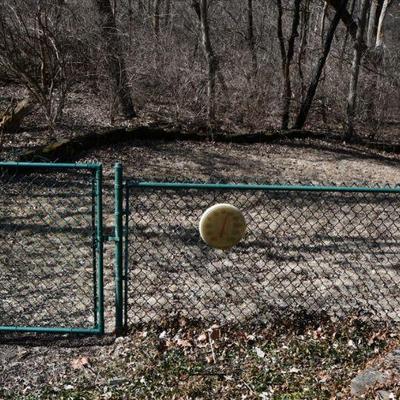 799 back yard