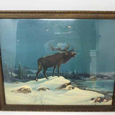 1927 Theo Boehling "Call Of The Night" Bugling Elk Print - Antique	