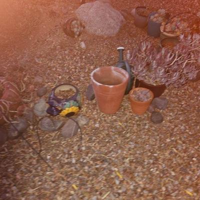 Outdoor Plants/Pottery/Art