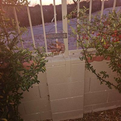 Outdoor Plants/Pottery/Art