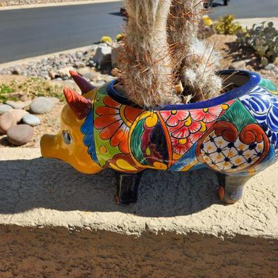Outdoor Plants/Pottery/Art