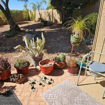 Outdoor Plants/Pottery/Art