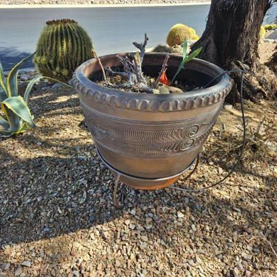 Outdoor Plants/Pottery/Art