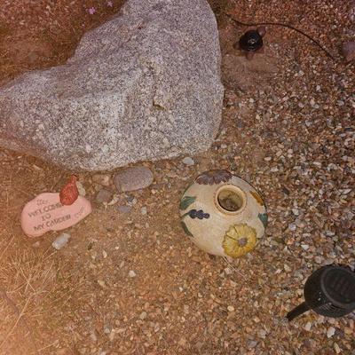 Outdoor Plants/Pottery/Art