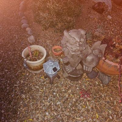 Outdoor Plants/Pottery/Art